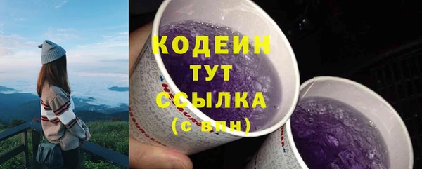 сатива Шадринск