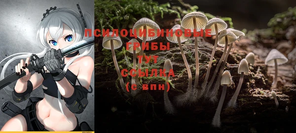 каннабис Баксан