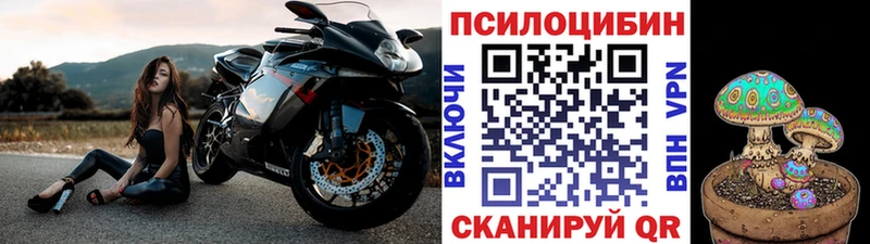 Псилоцибиновые грибы мухоморы  мега ТОР  Ессентуки 